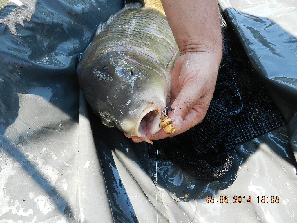 marginal fishing - dscn2680.JPG